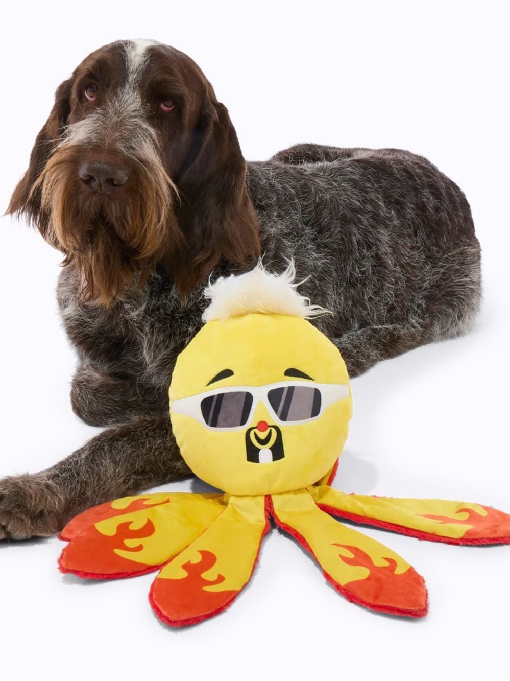Bark Box XL Off The Hook Ollie Plush Tug & Thrash Dog Toy Guy Fieri’s FLAVORTOWN